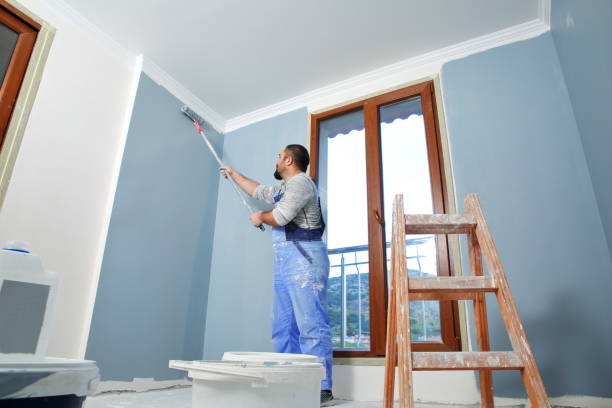 Best Black Mold Removal  in Meadow Lake, NM