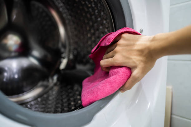 Best Mold Odor Removal Services  in Meadow Lake, NM