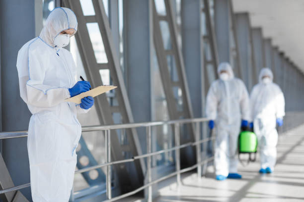 Best Attic Mold Removal  in Meadow Lake, NM