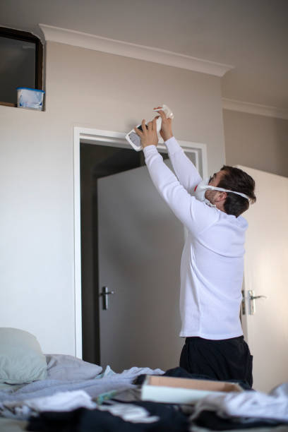 Best Basement Mold Removal  in Meadow Lake, NM