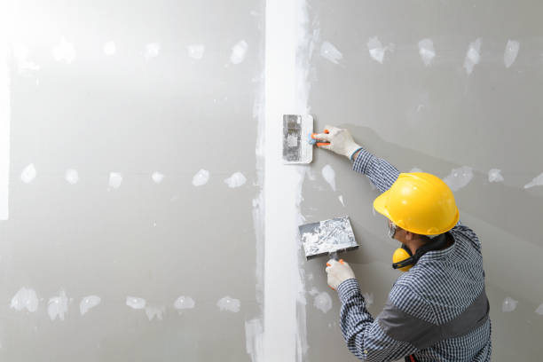 Best Mold Removal for HVAC Installations  in Meadow Lake, NM