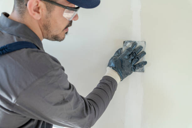 Best Post-Remediation Verification Testing  in Meadow Lake, NM