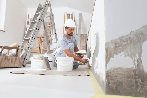 Biohazard Mold Removal in Meadow Lake, NM