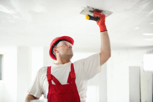 Forensic Mold Investigation in Meadow Lake, NM