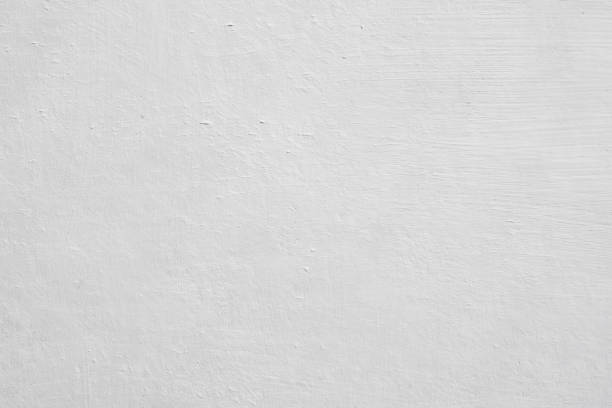 Trusted Meadow Lake, NM Mold Removal Experts