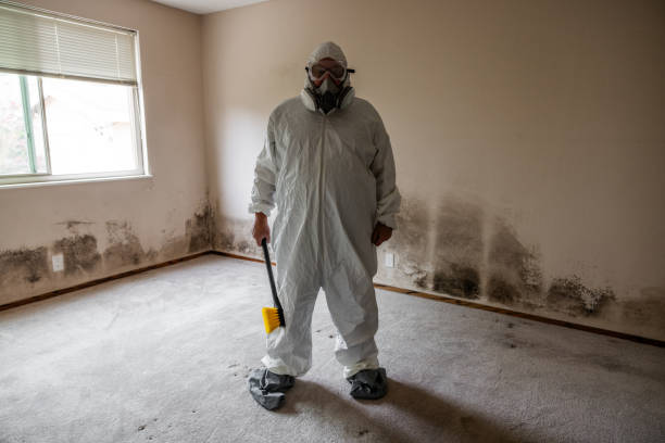 Best Commercial Mold Inspection  in Meadow Lake, NM