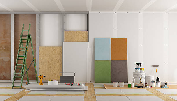 Best Basement Mold Removal  in Meadow Lake, NM