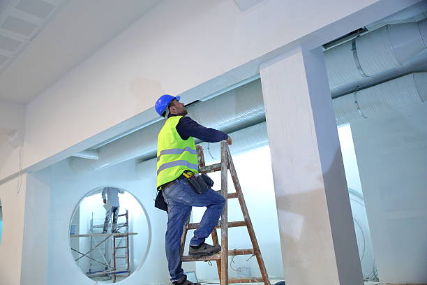 Best Crawl Space Mold Remediation  in Meadow Lake, NM