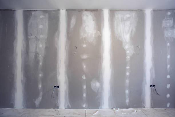 Best Post-Construction Mold Inspection  in Meadow Lake, NM